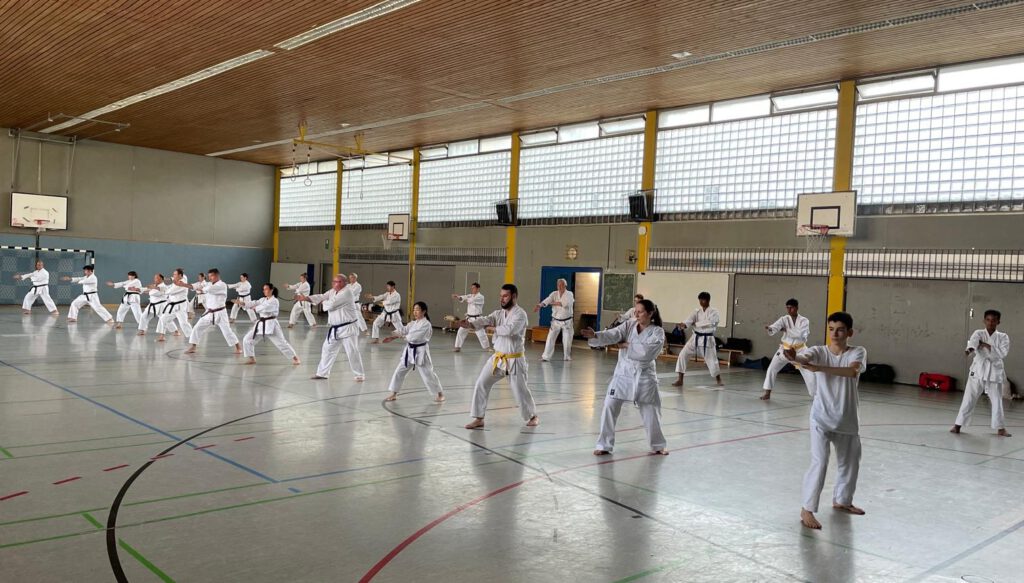 wer den orangenen Gürtel erreichen möchte, muss die Kata Heian Nidan beherrschen!